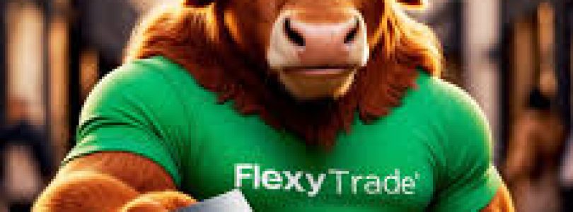 Flexy Trade Closes Its Doors